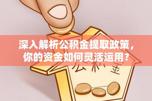 林边深入解析公积金提取政策，你的资金如何灵活运用？