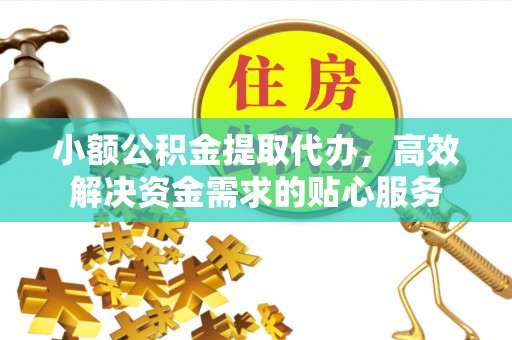 林边小额公积金提取代办，高效解决资金需求的贴心服务