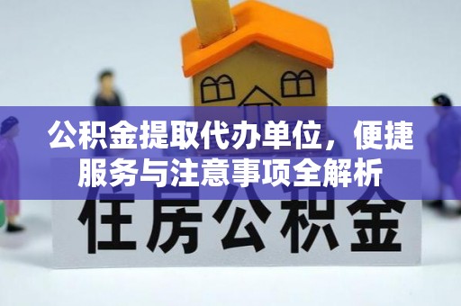 林边公积金提取代办单位，便捷服务与注意事项全解析