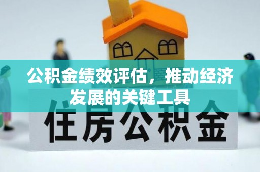 林边公积金绩效评估，推动经济发展的关键工具