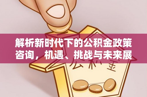 林边解析新时代下的公积金政策咨询，机遇、挑战与未来展望