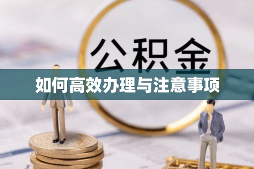 林边如何高效办理与注意事项