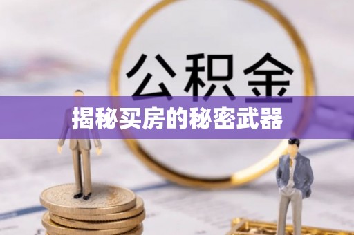 林边揭秘买房的秘密武器