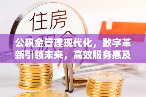林边公积金管理现代化，数字革新引领未来，高效服务惠及民生