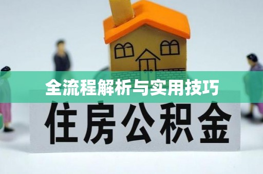 林边全流程解析与实用技巧
