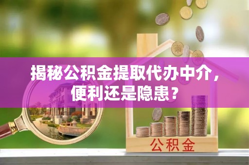 林边揭秘公积金提取代办中介，便利还是隐患？