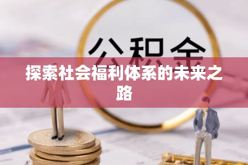 林边探索社会福利体系的未来之路