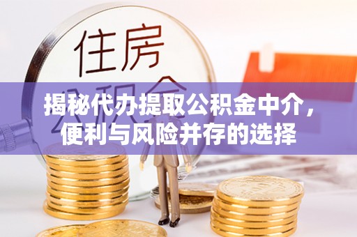 林边揭秘代办提取公积金中介，便利与风险并存的选择