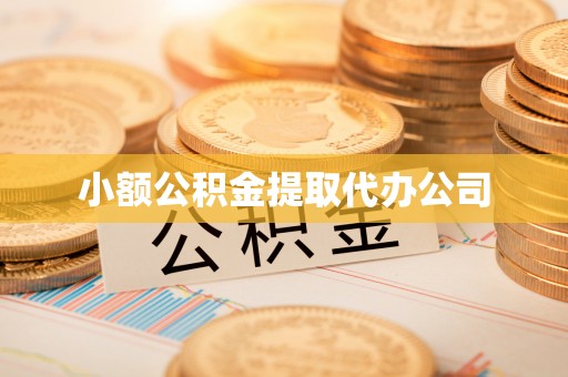 林边小额公积金提取代办公司