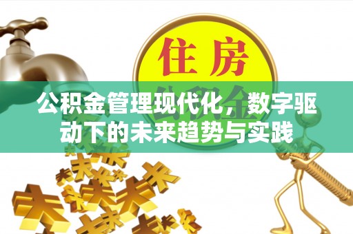 林边公积金管理现代化，数字驱动下的未来趋势与实践