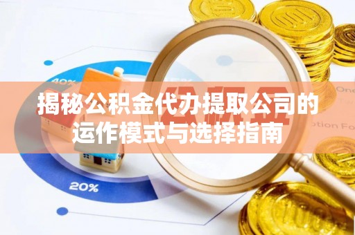 林边揭秘公积金代办提取公司的运作模式与选择指南