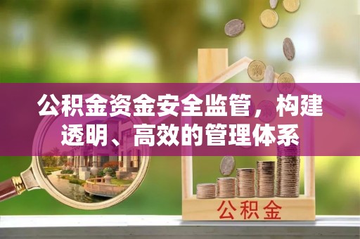 林边公积金资金安全监管，构建透明、高效的管理体系