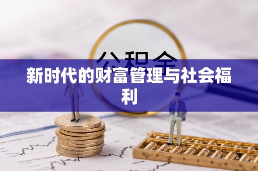 林边新时代的财富管理与社会福利