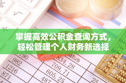 林边掌握高效公积金查询方式，轻松管理个人财务新选择