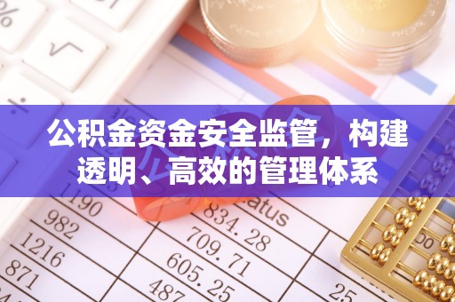 林边公积金资金安全监管，构建透明、高效的管理体系