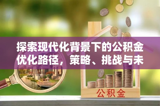林边探索现代化背景下的公积金优化路径，策略、挑战与未来展望