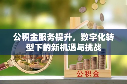 林边公积金服务提升，数字化转型下的新机遇与挑战