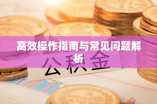 林边高效操作指南与常见问题解析