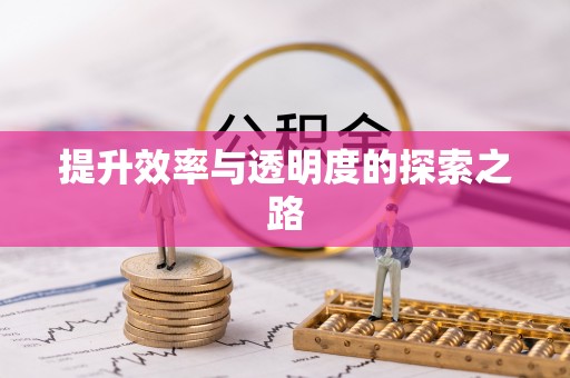 林边提升效率与透明度的探索之路