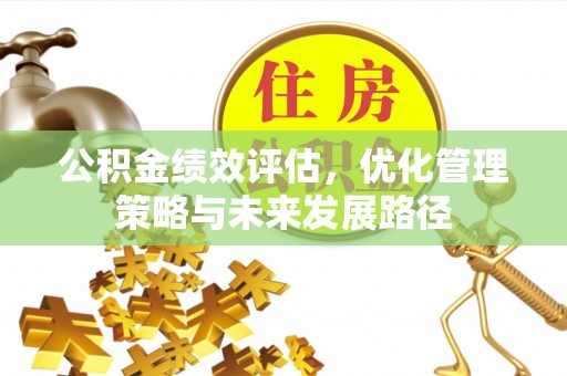 林边公积金绩效评估，优化管理策略与未来发展路径