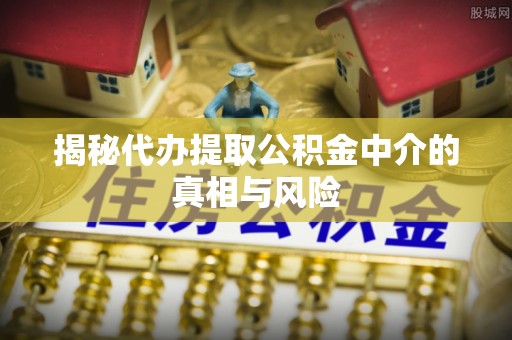 林边揭秘代办提取公积金中介的真相与风险