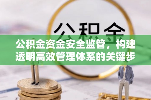 林边公积金资金安全监管，构建透明高效管理体系的关键步骤
