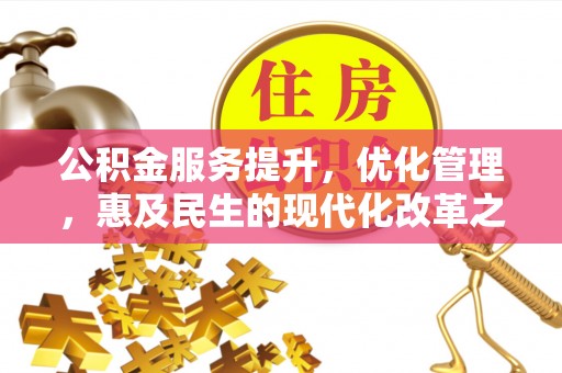 林边公积金服务提升，优化管理，惠及民生的现代化改革之路