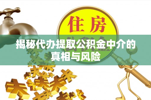 林边揭秘代办提取公积金中介的真相与风险