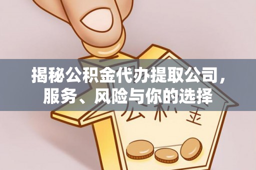 林边揭秘公积金代办提取公司，服务、风险与你的选择