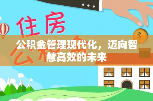 林边公积金管理现代化，迈向智慧高效的未来