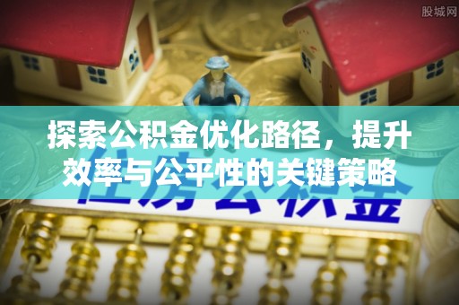 林边探索公积金优化路径，提升效率与公平性的关键策略