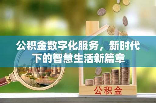 林边公积金数字化服务，新时代下的智慧生活新篇章
