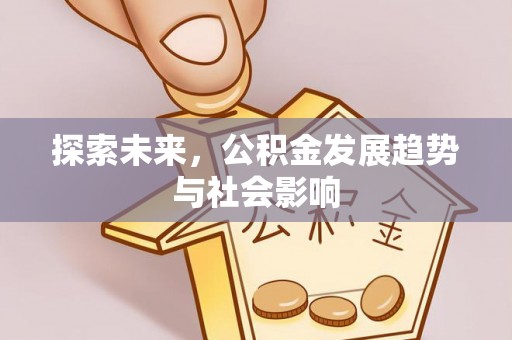 林边探索未来，公积金发展趋势与社会影响