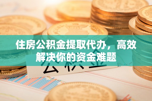 林边住房公积金提取代办，高效解决你的资金难题