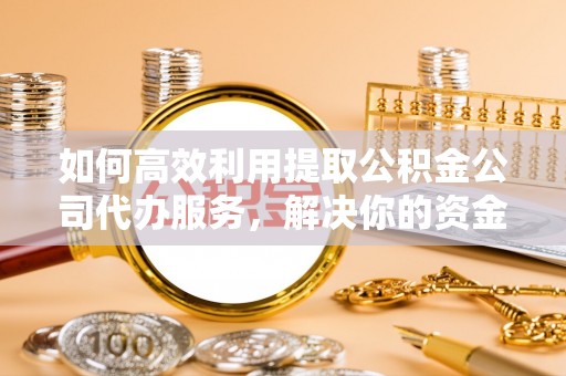 林边如何高效利用提取公积金公司代办服务，解决你的资金难题
