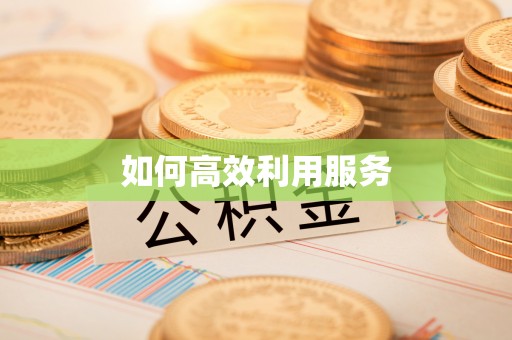 林边如何高效利用服务