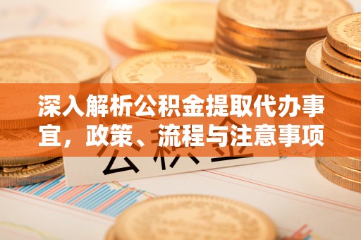 林边深入解析公积金提取代办事宜，政策、流程与注意事项全攻略