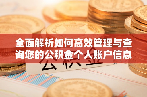 林边全面解析如何高效管理与查询您的公积金个人账户信息