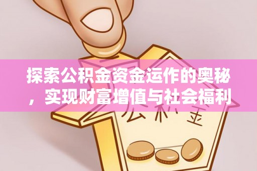 林边探索公积金资金运作的奥秘，实现财富增值与社会福利双赢