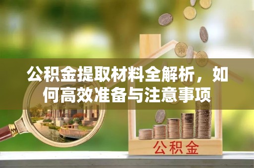 林边公积金提取材料全解析，如何高效准备与注意事项