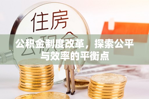 林边公积金制度改革，探索公平与效率的平衡点