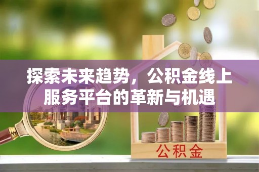 林边探索未来趋势，公积金线上服务平台的革新与机遇
