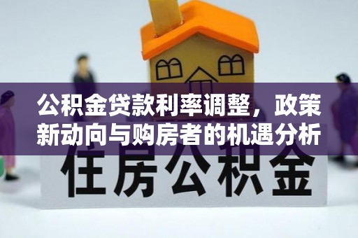 林边公积金贷款利率调整，政策新动向与购房者的机遇分析