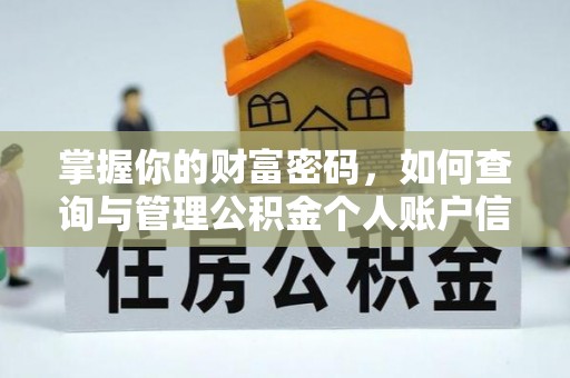 林边掌握你的财富密码，如何查询与管理公积金个人账户信息