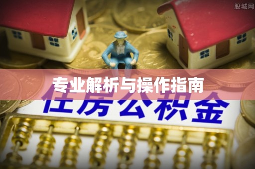 林边专业解析与操作指南