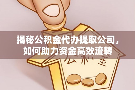 林边揭秘公积金代办提取公司，如何助力资金高效流转