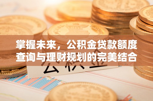 林边掌握未来，公积金贷款额度查询与理财规划的完美结合