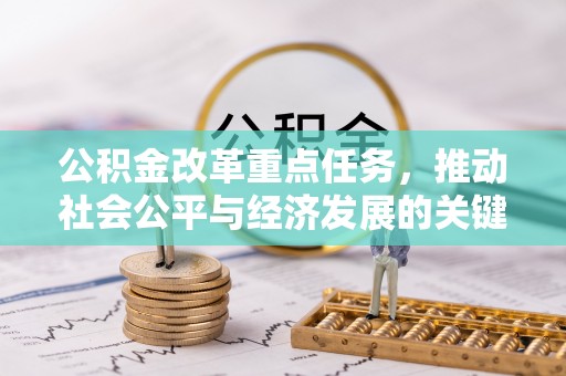 林边公积金改革重点任务，推动社会公平与经济发展的关键一步
