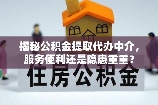 林边揭秘公积金提取代办中介，服务便利还是隐患重重？