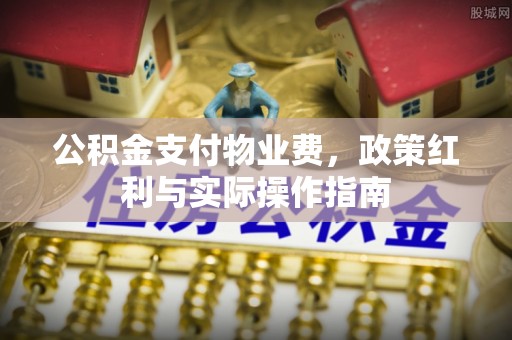 林边公积金支付物业费，政策红利与实际操作指南